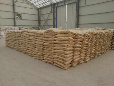 get_img?key=695cb3ce9ed2ff4c0c9c0459