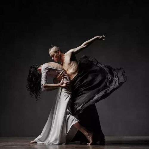 get_img?key=695cb4189ed2ff4c0c9c0d4a