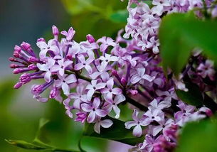 get_img?key=695cb4409ed2ff4c0c9c1168