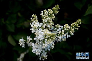 get_img?key=695cb4409ed2ff4c0c9c116a