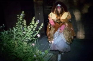 get_img?key=695cb4679ed2ff4c0c9c1561