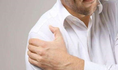 get_img?key=695cb46a9ed2ff4c0c9c15a3