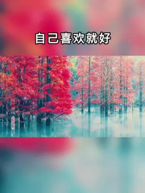 get_img?key=695cb4a69ed2ff4c0c9c1ace