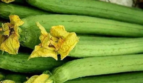 get_img?key=695cb4c89ed2ff4c0c9c1cb4