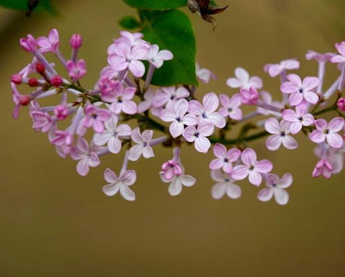 get_img?key=695cb4ef9ed2ff4c0c9c1ec0