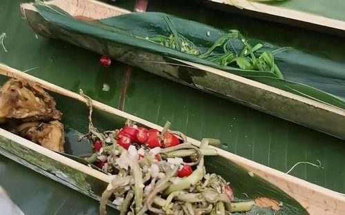 get_img?key=695cb7939ed2ff4c0c9c4073