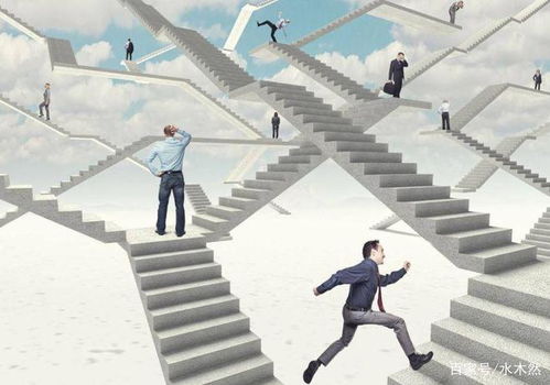 get_img?key=695cb7a09ed2ff4c0c9c422c