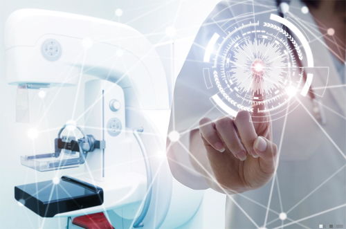 get_img?key=695cb7b49ed2ff4c0c9c446a