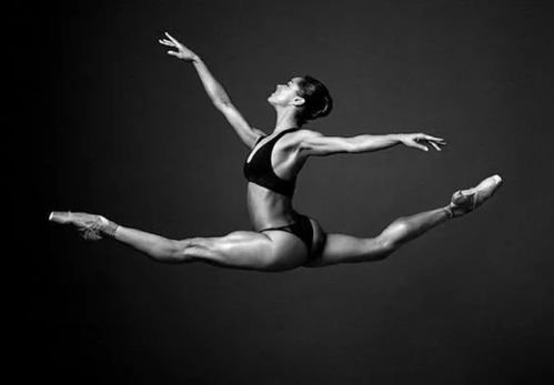 get_img?key=695cb8139ed2ff4c0c9c5127