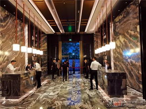 get_img?key=695cb9029ed2ff4c0c9c6116