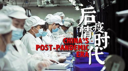 get_img?key=695cbabf9ed2ff4c0c9c7c10