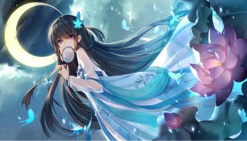 get_img?key=695cbbe19ed2ff4c0c9c8eb6