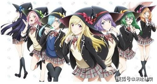 get_img?key=695cbc0f9ed2ff4c0c9c937c