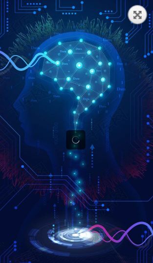 get_img?key=695cbc419ed2ff4c0c9c98a6