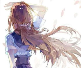 get_img?key=695cbc559ed2ff4c0c9c9a58