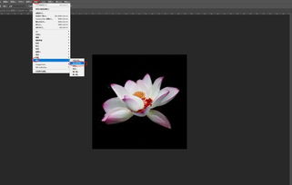 get_img?key=695cbc569ed2ff4c0c9c9a67