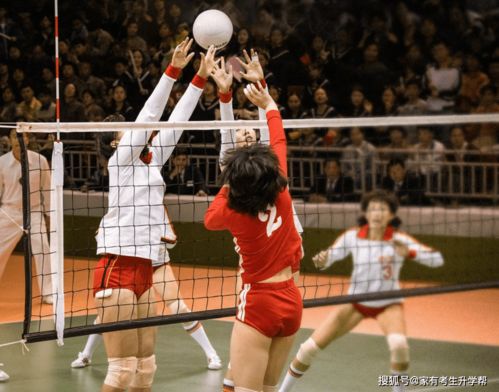 get_img?key=695cbc779ed2ff4c0c9c9d87