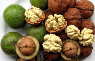 get_img?key=695cbc9f9ed2ff4c0c9ca161