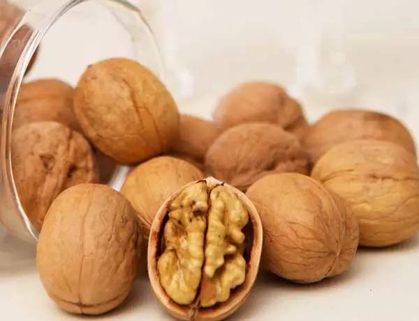 get_img?key=695cbc9f9ed2ff4c0c9ca163