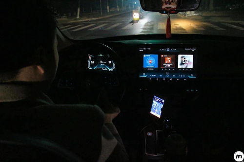 get_img?key=695cbcdc9ed2ff4c0c9ca76b