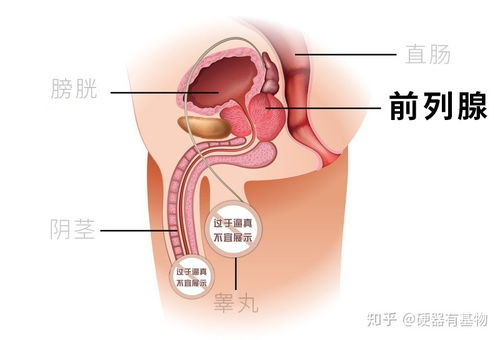 get_img?key=695cbcf69ed2ff4c0c9cab88