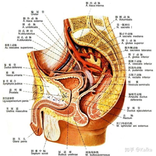 get_img?key=695cbcf69ed2ff4c0c9cab90
