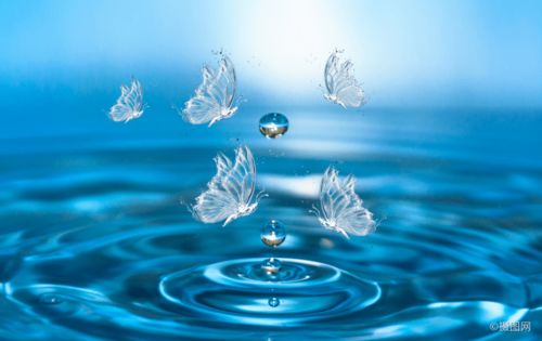 get_img?key=695cbd019ed2ff4c0c9cacdf