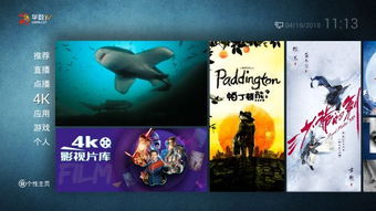 get_img?key=695cbd039ed2ff4c0c9cad45