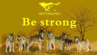 get_img?key=695cbd1f9ed2ff4c0c9cafbb