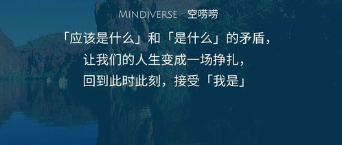 get_img?key=695cbd1f9ed2ff4c0c9cafe0