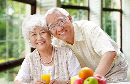 get_img?key=695cbd319ed2ff4c0c9cb11a