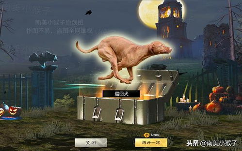 get_img?key=695cbd339ed2ff4c0c9cb181