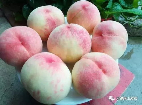 get_img?key=695cbd799ed2ff4c0c9cb8b0