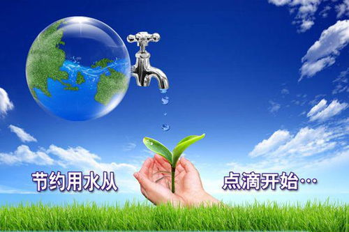 get_img?key=695cbd869ed2ff4c0c9cba9d