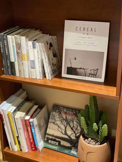 get_img?key=695cbdaa9ed2ff4c0c9cbf24