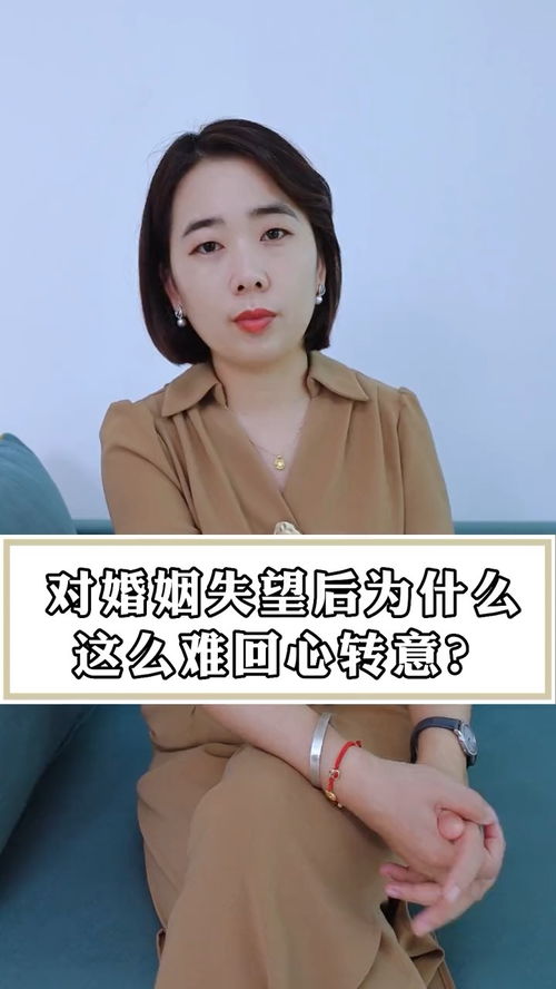 get_img?key=695cbdf49ed2ff4c0c9cc564