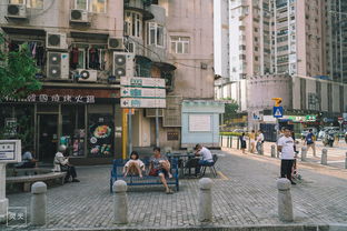 get_img?key=695cbe189ed2ff4c0c9cc8f1