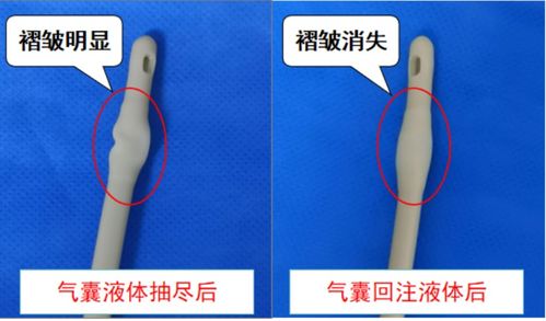 get_img?key=695cbe479ed2ff4c0c9ccd6c