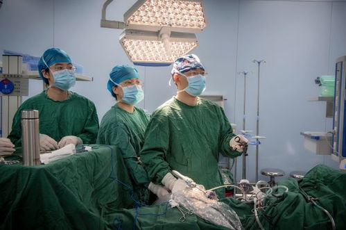 get_img?key=695cbe479ed2ff4c0c9ccd74