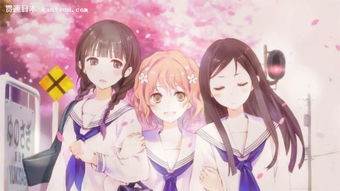 get_img?key=695cbe979ed2ff4c0c9cd7f6