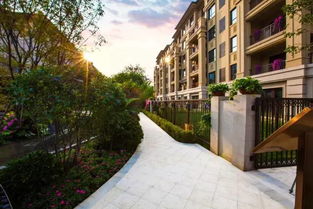 get_img?key=695cbec09ed2ff4c0c9cdc16