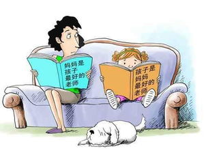 get_img?key=695cbed09ed2ff4c0c9ce521