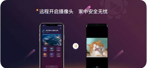 get_img?key=695cbf3f9ed2ff4c0c9cf0cb