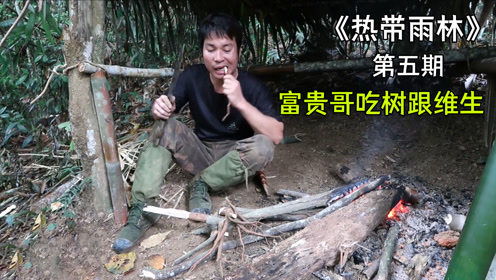 get_img?key=695cbf669ed2ff4c0c9cf505