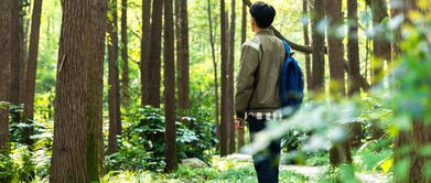 get_img?key=695cbf8b9ed2ff4c0c9cf9bd