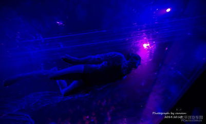 get_img?key=695cbfac9ed2ff4c0c9cfe18