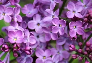 get_img?key=695cbfd99ed2ff4c0c9d0377