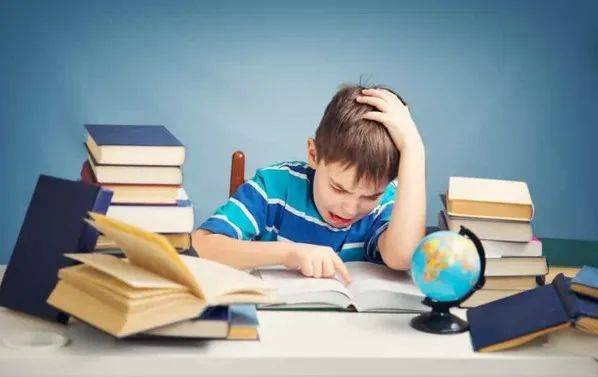 get_img?key=695cc02c9ed2ff4c0c9d0d38