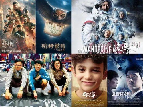 get_img?key=695cc02f9ed2ff4c0c9d0dec