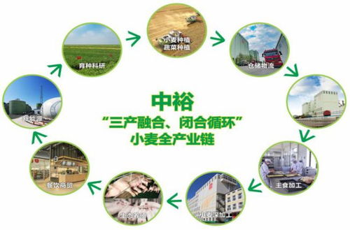 get_img?key=695cc0829ed2ff4c0c9d274d